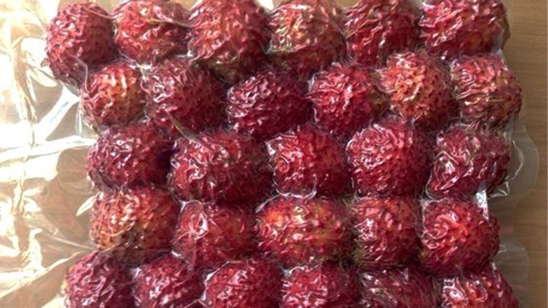 C&aacute;ch bảo quản ch&ocirc;m ch&ocirc;m tươi l&acirc;u bằng kho lạnh