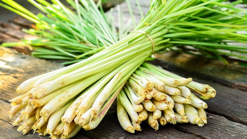 Nguyên liệu món ăn cách làm ống hút thân thiện môi trường