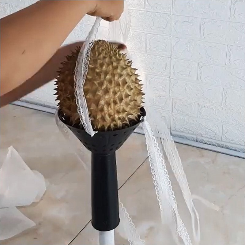 Bước 1 Cố định sầu riêng trên tay cầm Làm bó hoa sầu riêng
