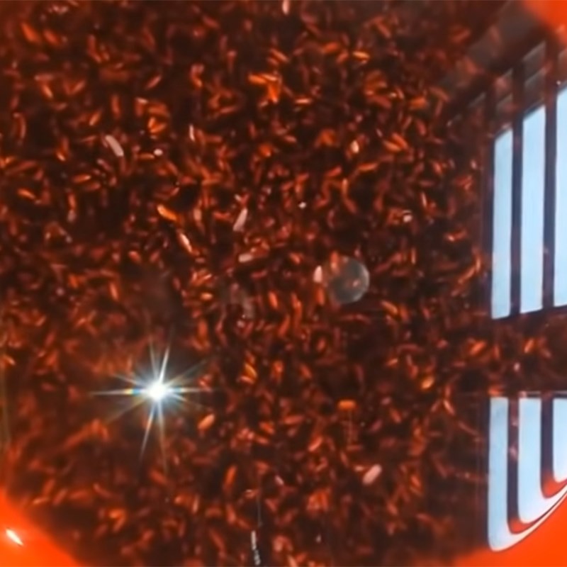 Bước 1 Sơ chế nguyên liệu Rượu nếp cẩm - nếp than