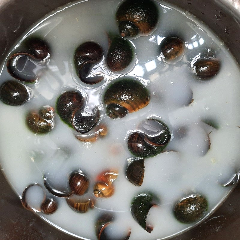 Bước 1 Sơ chế ốc bươu Chả ốc bươu chiên giòn