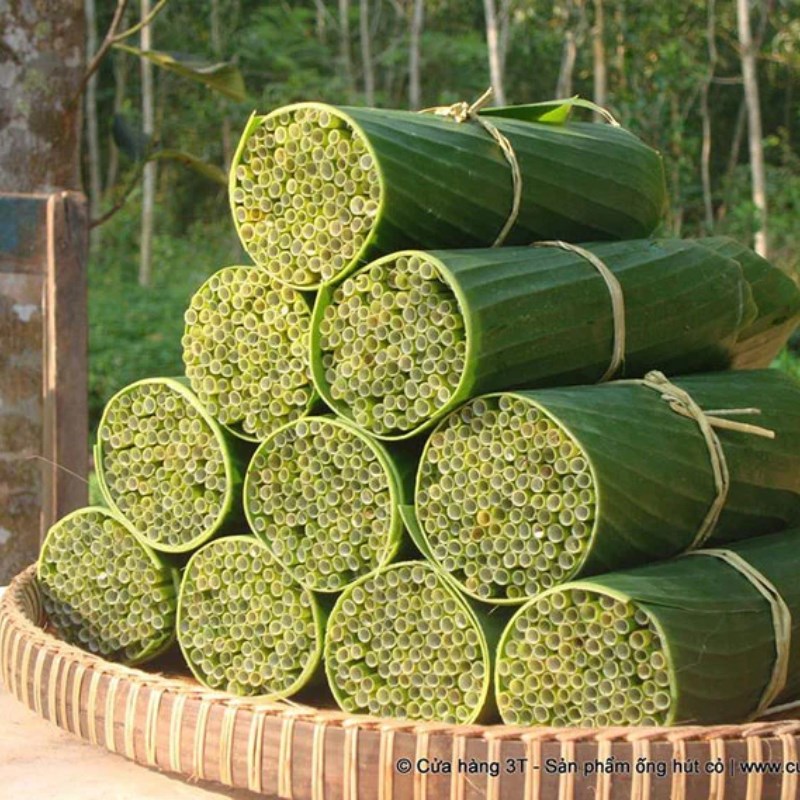Bước 6 Thành phẩm Cách làm ống hút cỏ bàng