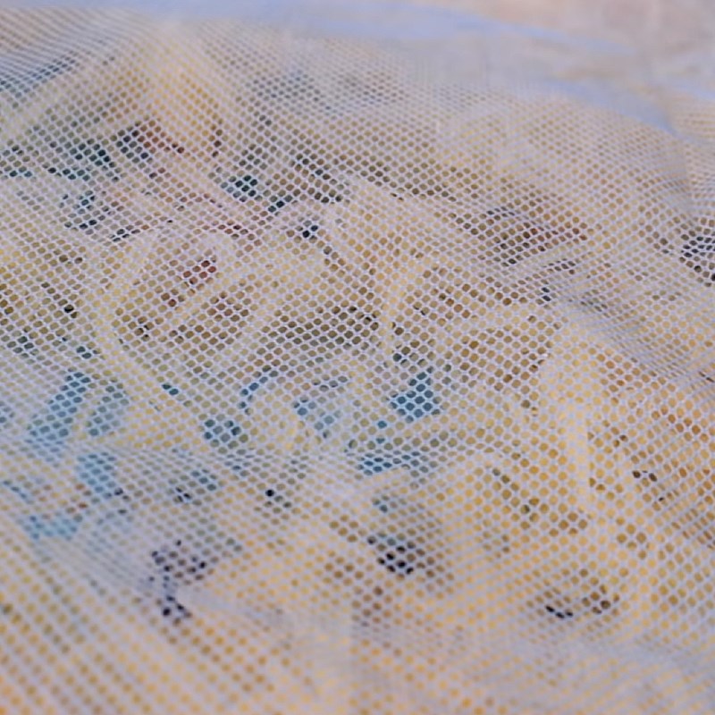 Bước 2 Vắt nước và phơi đu đủ Mắm đu đủ