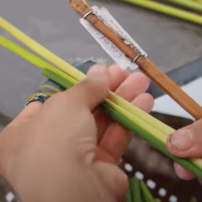 Bước 2 Cắt đoạn cỏ bàng Cách làm ống hút cỏ bàng