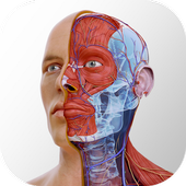 Tải Complete Anatomy: Atlas giải phẫu cơ thể người 3D trên máy tính