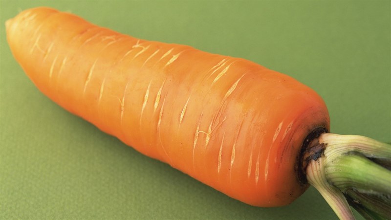 Nguyên liệu để Tạo hình trái thông Noel từ quả cà rốt