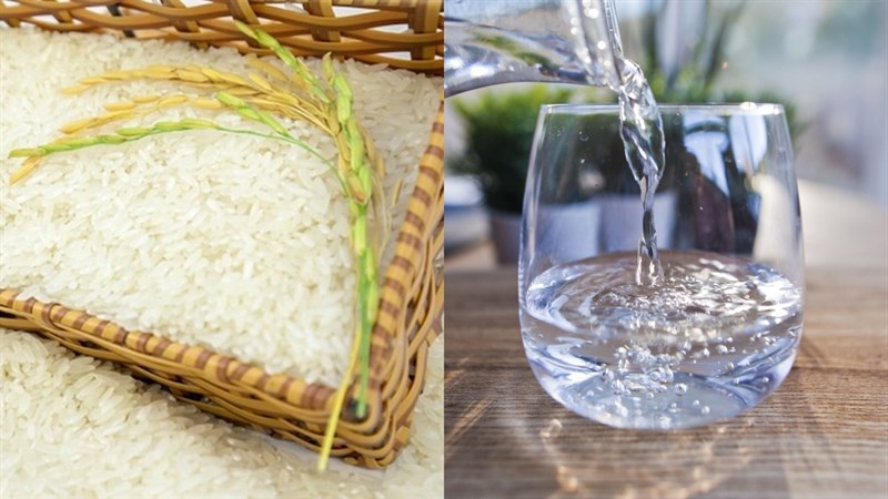 Nguyên liệu món ăn nấu cơm cháy bằng nồi cơm điện