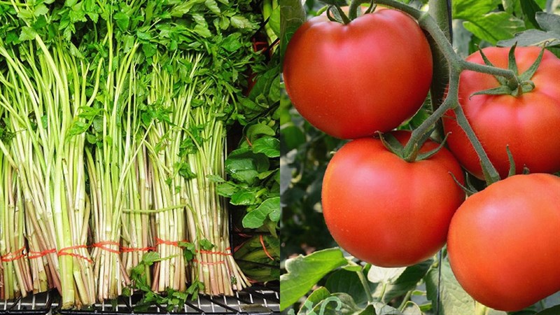 Nguyên liệu nấu canh rau cần cà chua