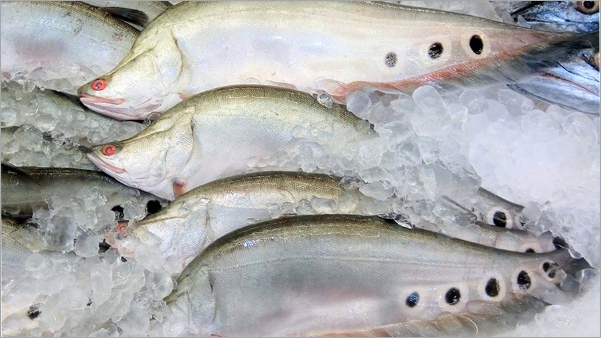 Cách nấu món chả cá thác lác sử dụng xương cá.

