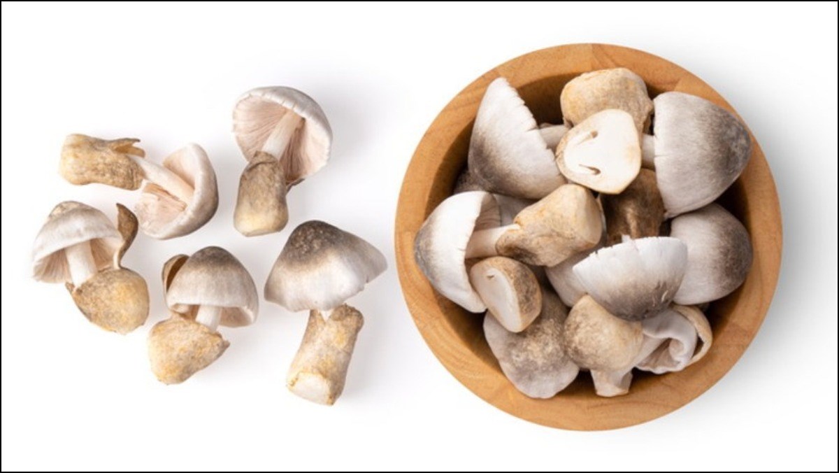4 cách bảo quản nấm rơm
