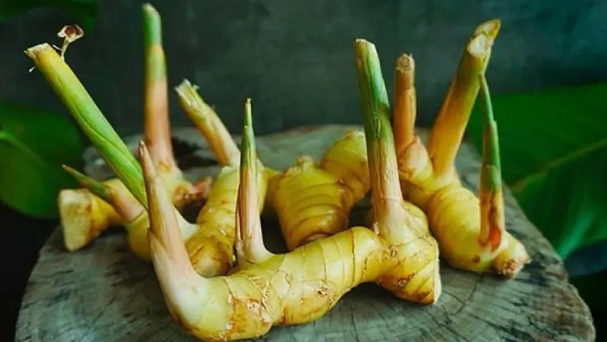 Cách bảo quản riềng