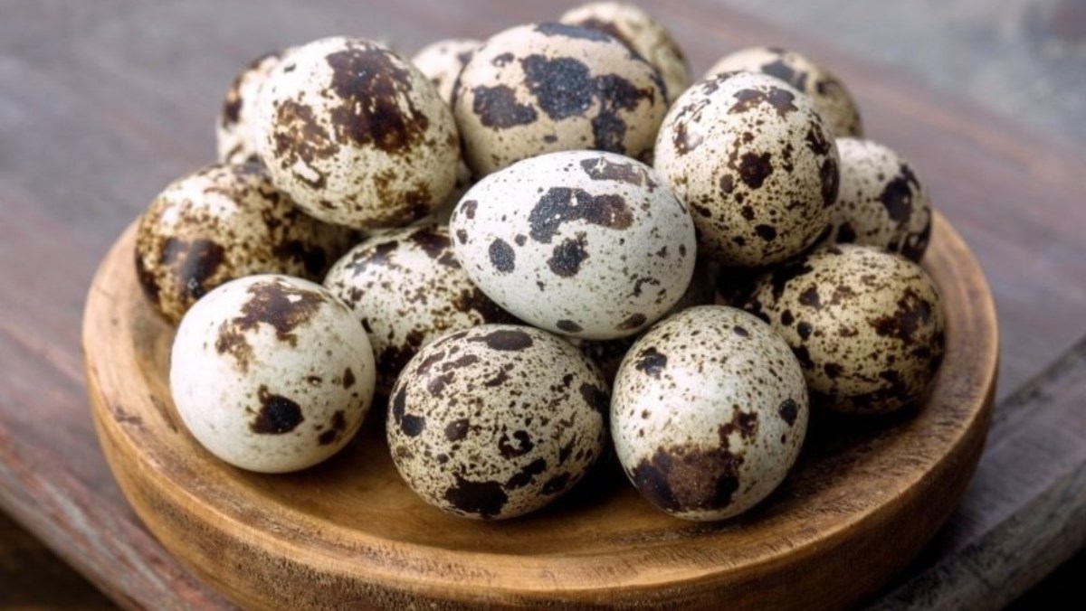 Bí kíp luộc trứng cút bao nhiêu phút giữ nguyên hương vị và chất dinh dưỡng tối đa