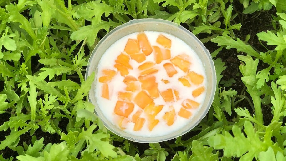 Các bước chi tiết Hướng dẫn cách làm sữa chua mít tại nhà đơn giản và ngon miệng