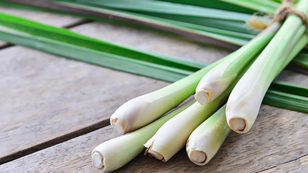 Cách bảo quản sả và công dụng của sả