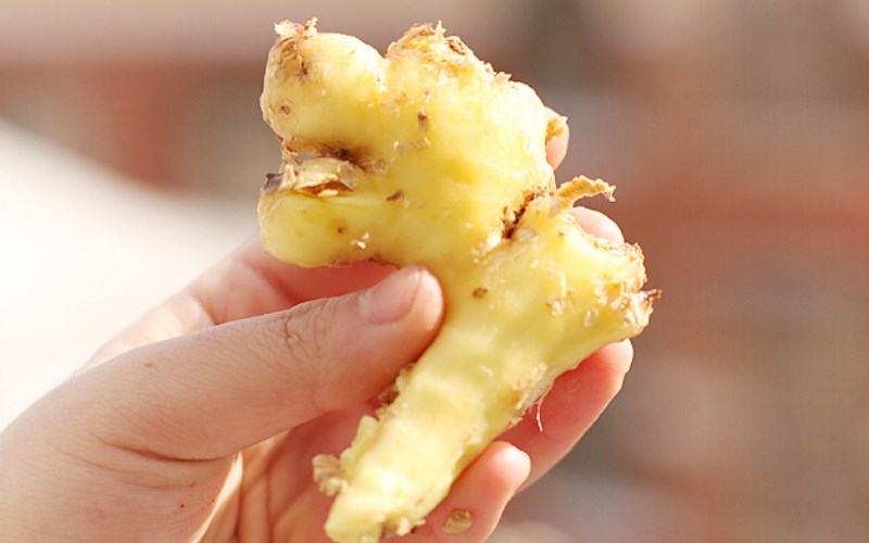 C&aacute;ch bảo quản gừng đ&atilde; lột vỏ