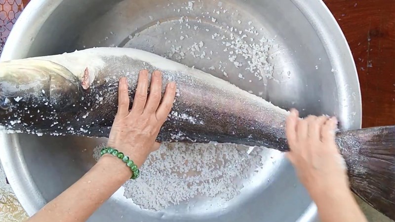 Đánh vảy cá bớp bằng dụng cụ cạo vảy cá chuyên dụng
