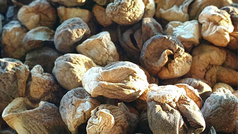 Sấy kh&ocirc; nấm