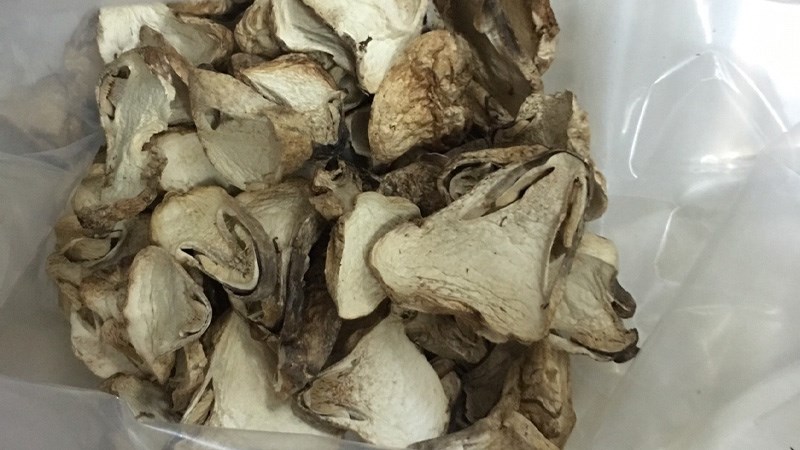 Bảo quản nấm trong hộp đựng