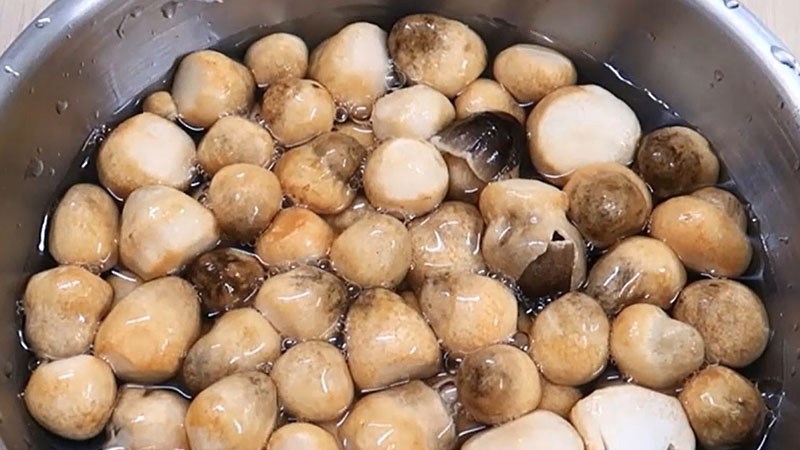 Làm sạch nấm