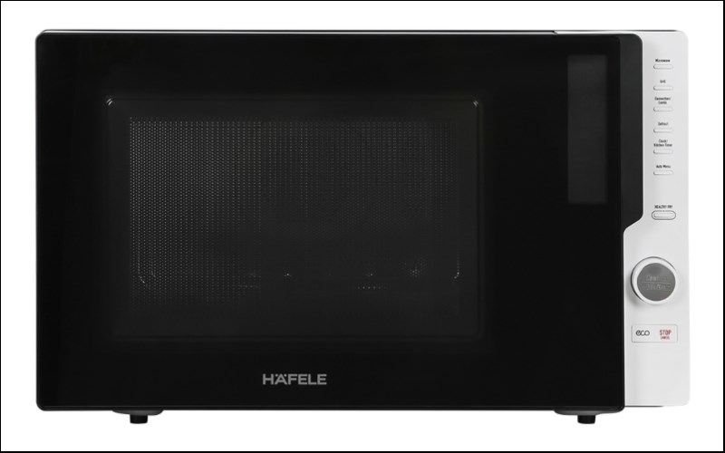 L&ograve; vi s&oacute;ng