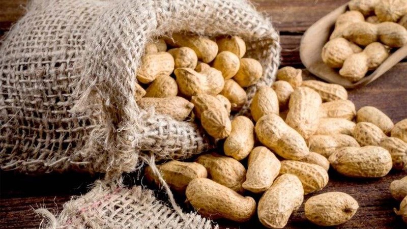 C&aacute;ch bảo quản đậu phộng tươi
