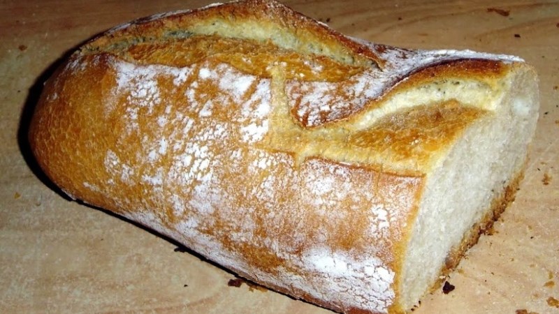 C&aacute;c vi sinh vật ph&aacute;t triển