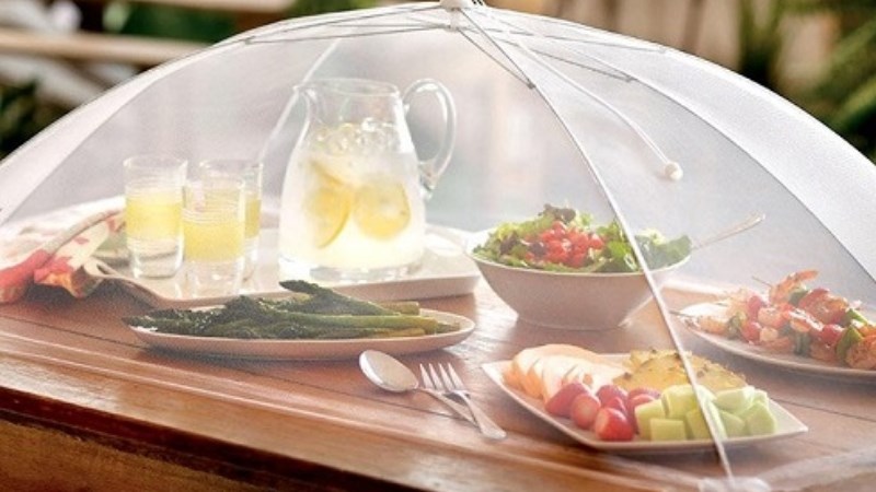 Kh&ocirc;ng đ&ecirc;̉ đ&ocirc;̀ ăn qua ngày trong nhi&ecirc;̣t đ&ocirc;̣ phòng