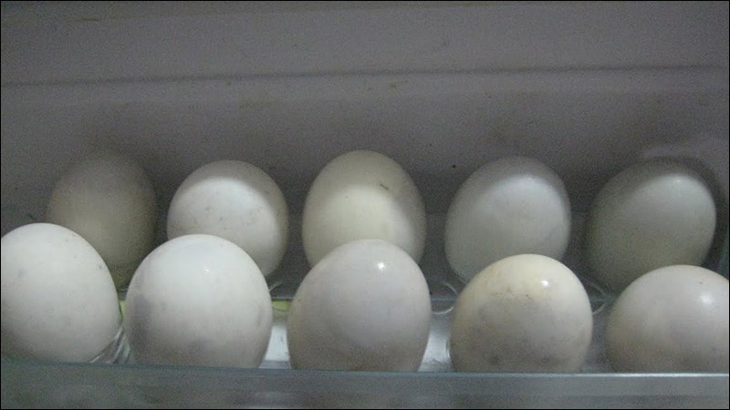 Bảo quản trứng vịt lộn trong tủ lạnh