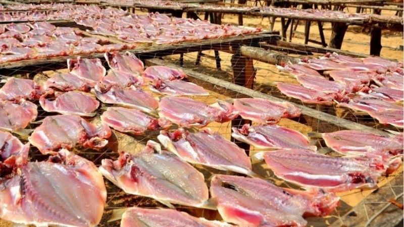 Bảo quản khô cá chỉ vàng dưới ánh nắng mặt trời