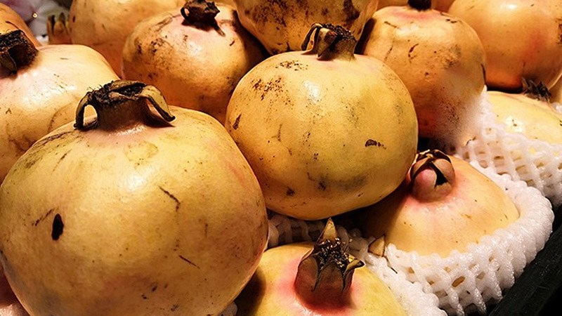 Chọn lựu th&ocirc;ng qua m&agrave;u sắc vỏ