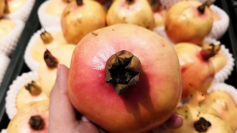 Chọn lựu c&oacute; phần rốn quả đ&atilde; nở hết, hơi nứt