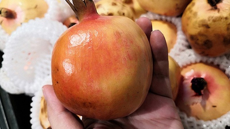 Chọn những quả cầm chắc v&agrave; nặng tay