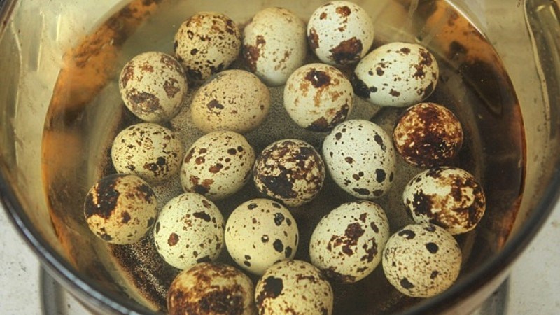 Trứng cút lộn  Giá Tốt Miễn Phí Vận Chuyển Đủ Loại  Shopee Việt Nam