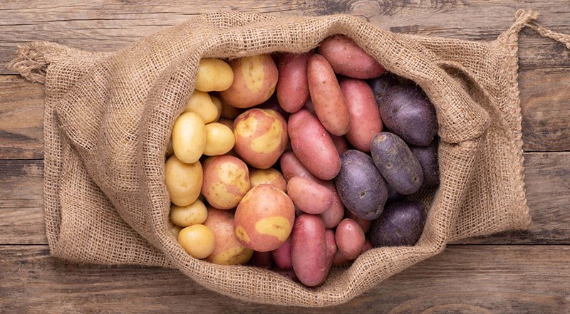 C&aacute;ch bảo quản khoai t&acirc;y nguy&ecirc;n củ