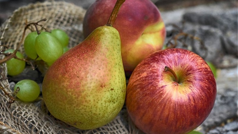 t&aacute;o l&ecirc; nho