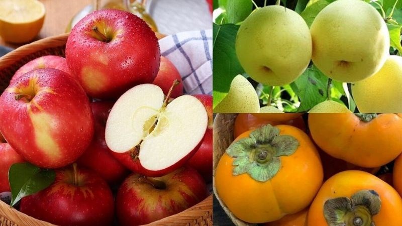 Tr&aacute;i c&acirc;y: T&aacute;o, l&ecirc;, hồng gi&ograve;n