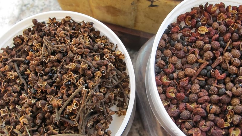 Giá hạt mắc khén là bao nhiêu?