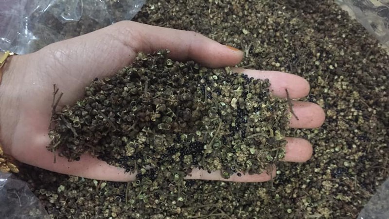 Hạt mắc khén mua ở đâu?