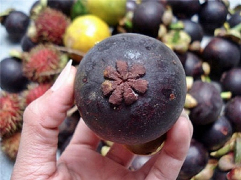 B&oacute;p nhẹ măng cụt