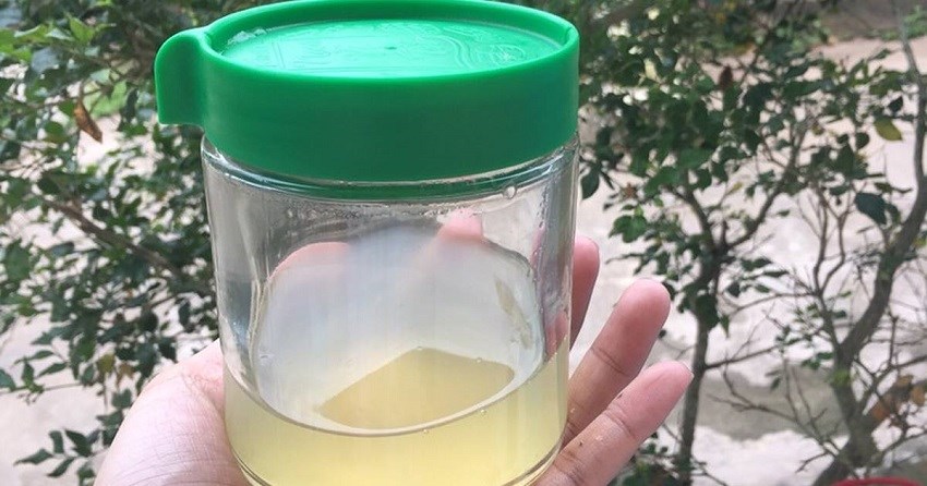 Nước dashi có bảo quản trong tủ lạnh được không