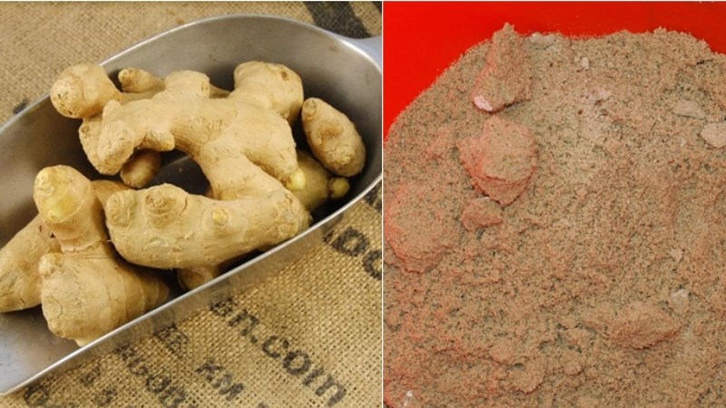 Bảo quản gừng tươi trong cát