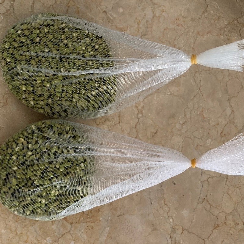 Bước 2 Ngâm đậu Giá đỗ