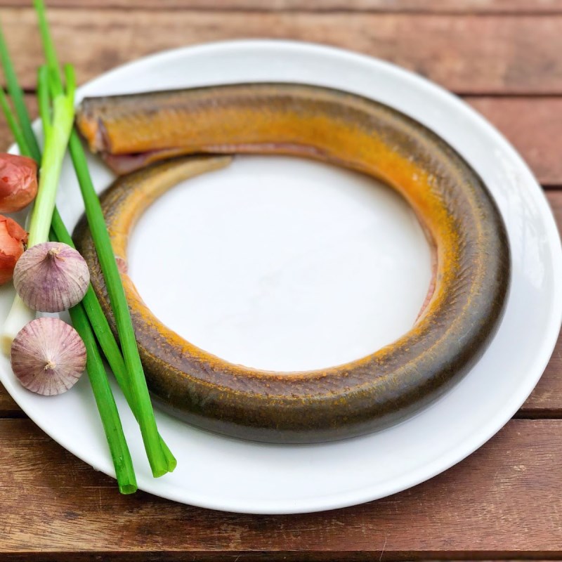 Bước 1 Sơ chế và ướp thịt lươn Cơm lươn Nhật Bản sốt teriyaki (Công thức được chia sẻ từ người dùng)