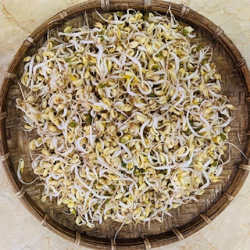 Bước 3 Thành phẩm Giá đỗ