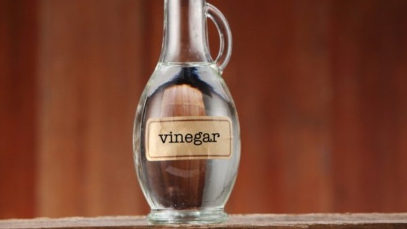 Cho g&agrave; uống giấm ăn trước khi l&agrave;m thịt