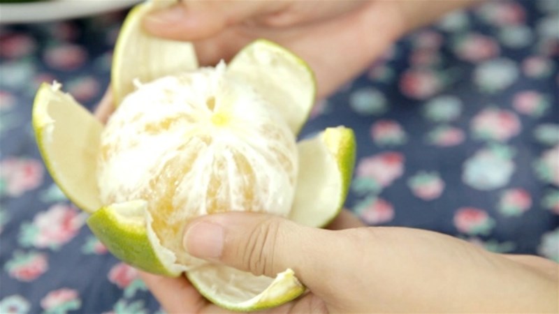 Tỉa hoa sen tự trái quýt
