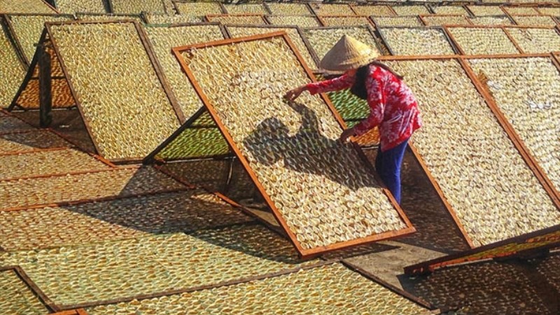 Bảo quản kh&ocirc; c&aacute; chỉ v&agrave;ng dưới &aacute;nh nắng mặt trời