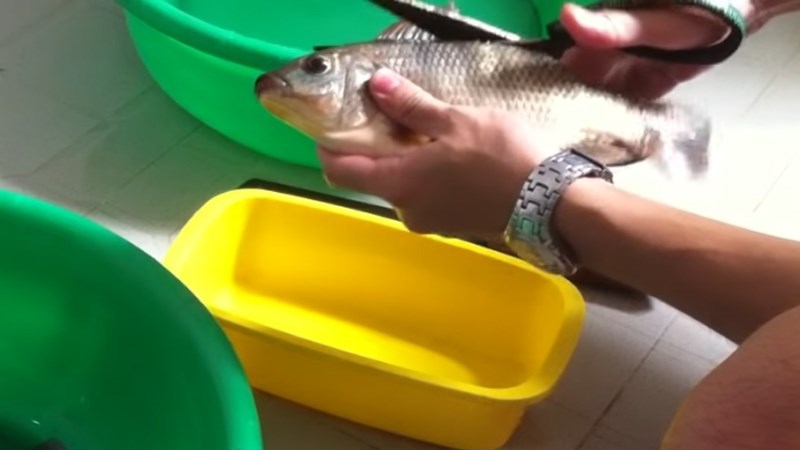 C&aacute;ch r&uacute;t xương c&aacute; r&ocirc; sống