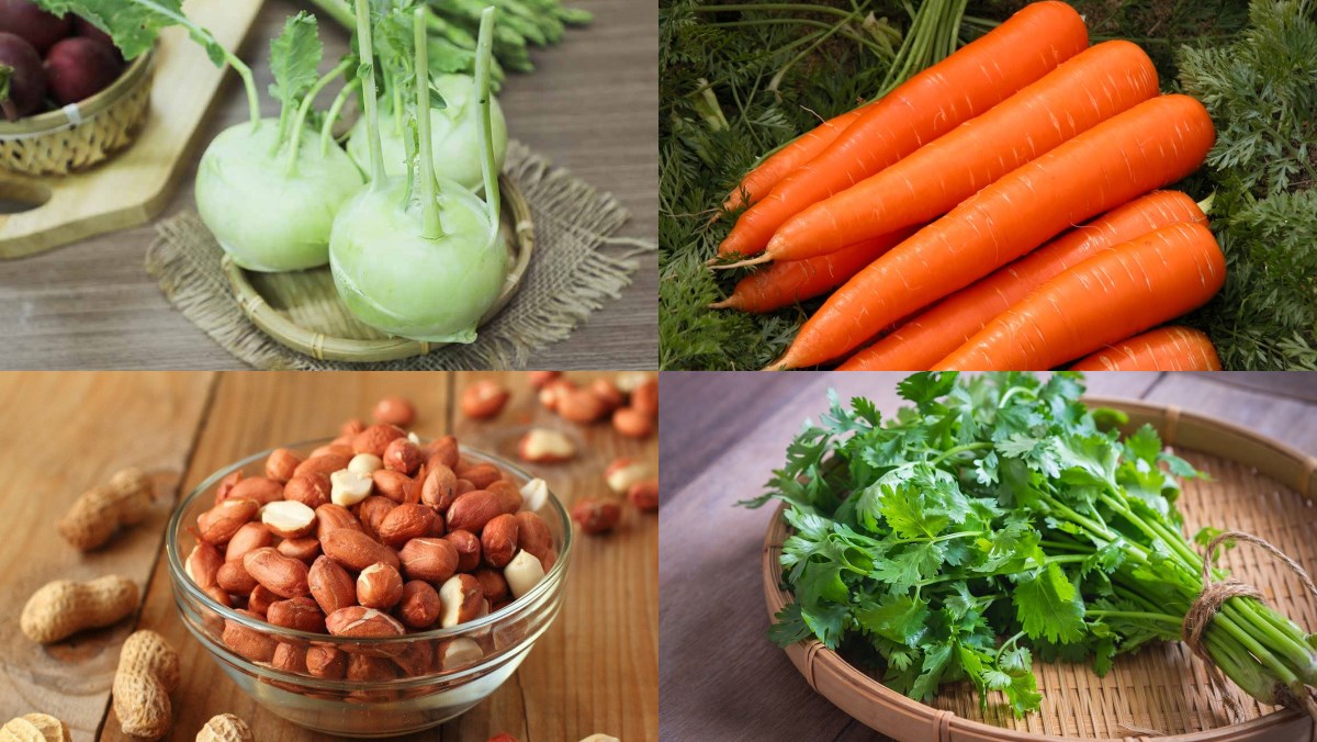 Nguyên liệu món ăn cách làm món nộm su hào cà rốt chay