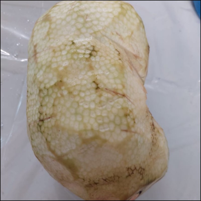 Bước 1 Sơ chế nhút mít Nhút mít non